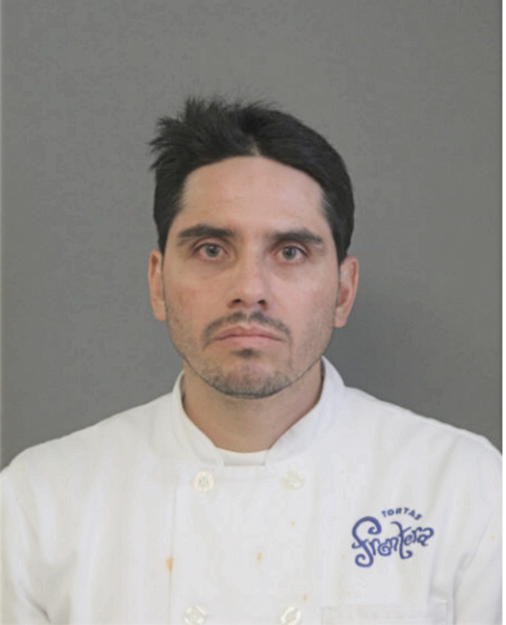 CARLOS A NAVARRETE NUNEZ, Cook County, Illinois