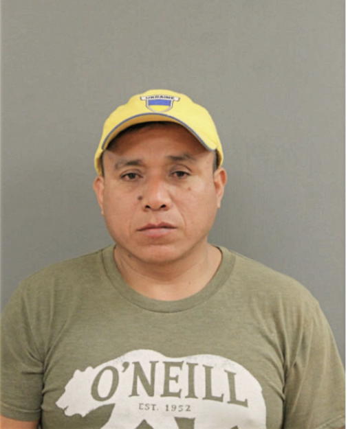 MANUEL A NIVELO LAZO, Cook County, Illinois