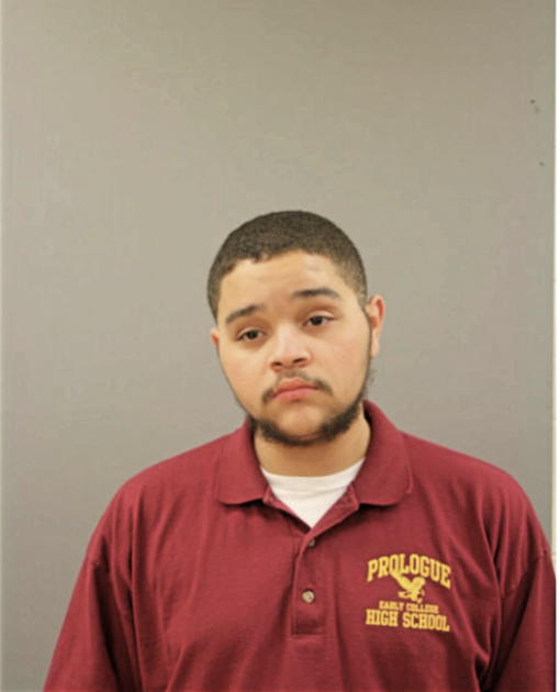JOSHUA B ORTIZ, Cook County, Illinois