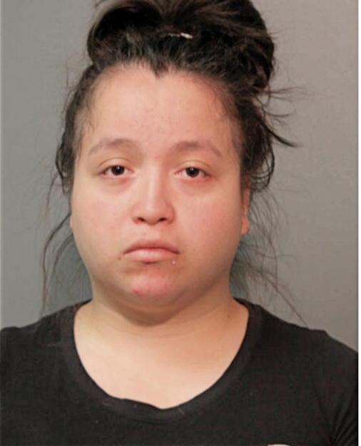 BRENDA E ROMAN, Cook County, Illinois