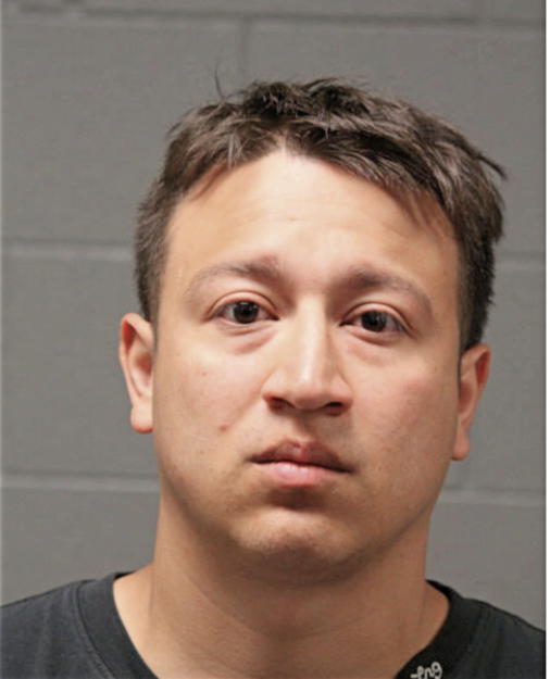 JESUS SALAZAR, Cook County, Illinois