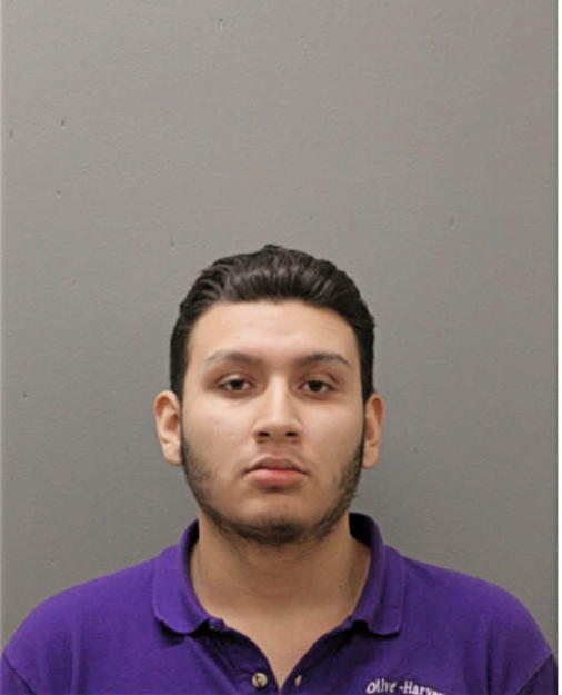 ALEXIS SANCHEZ, Cook County, Illinois