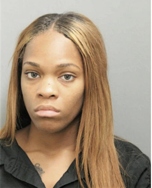 ROBYN L SMITH, Cook County, Illinois
