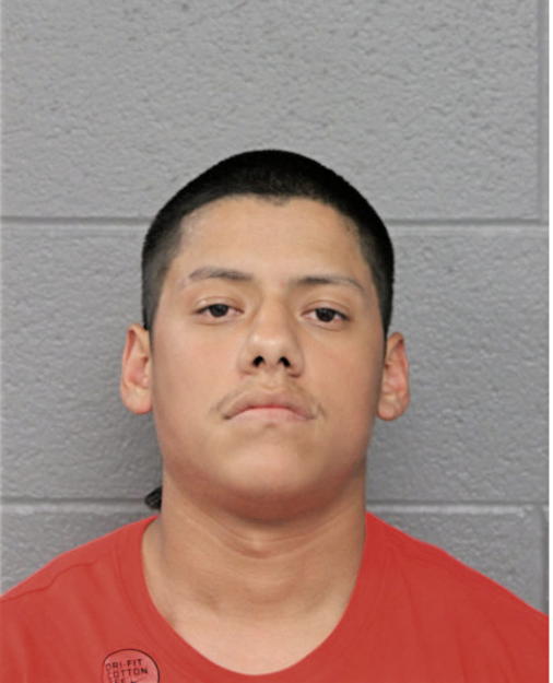MARTIN TORRES, Cook County, Illinois