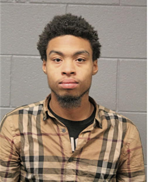 CHRISTIAN J TURNER, Cook County, Illinois