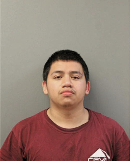 FERNANDO VALLADARES, Cook County, Illinois