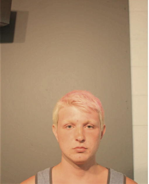 COLLIN J VITEK, Cook County, Illinois