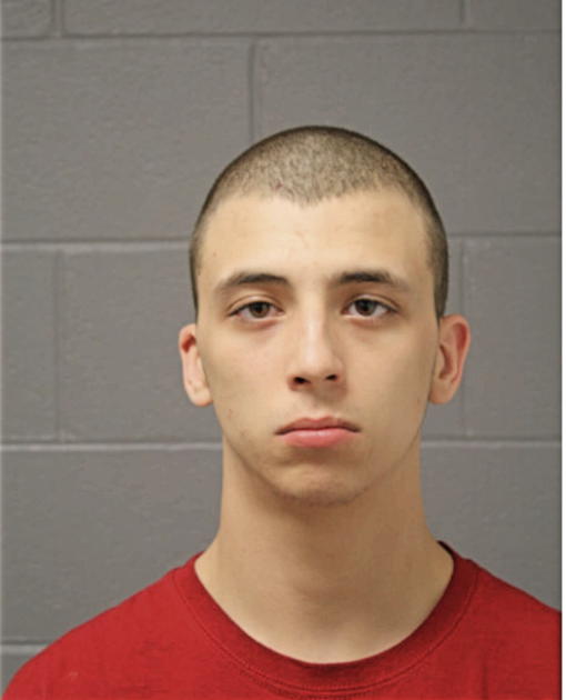 CHRISTOPHER L WHITEHEAD, Cook County, Illinois