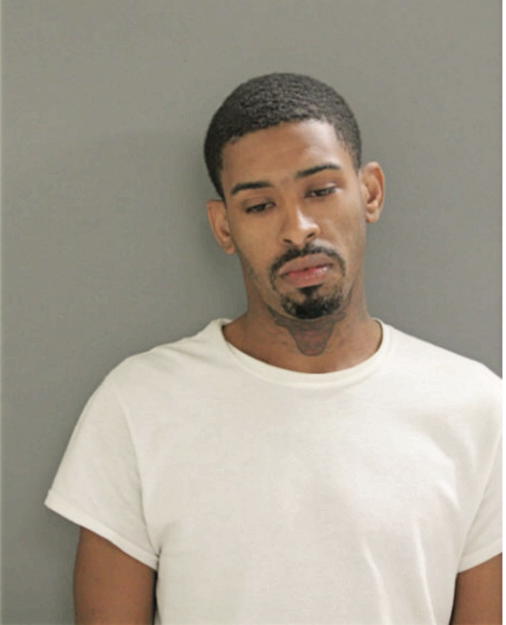 AARON T YOUNG, Cook County, Illinois