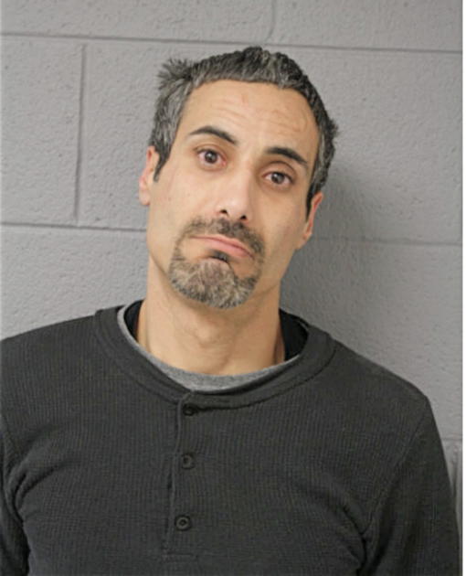 HANEY S ZAYED, Cook County, Illinois