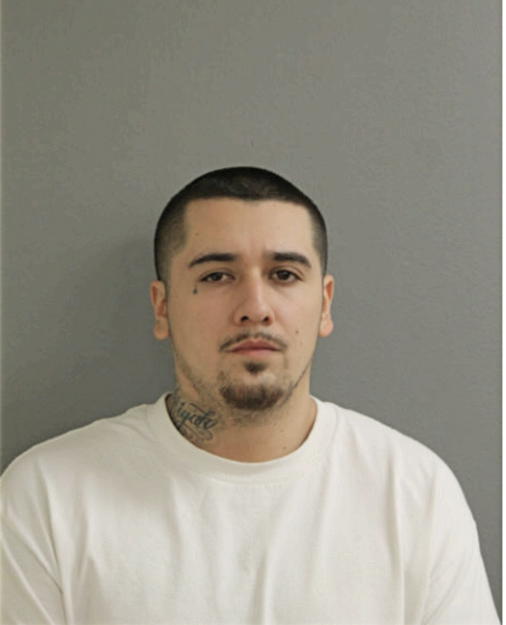 NATHANIEL AGUILAR, Cook County, Illinois
