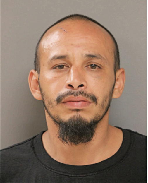 JOSE R AMADOR, Cook County, Illinois