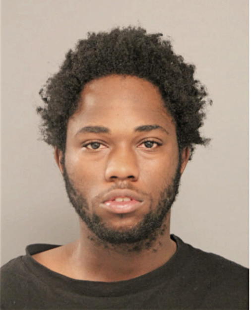 ROSHA J BANKS, Cook County, Illinois