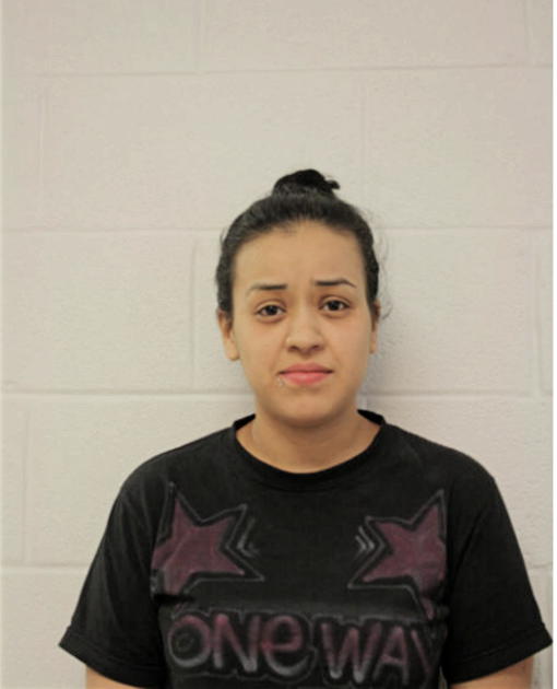 ASHLEY L BRUNO, Cook County, Illinois