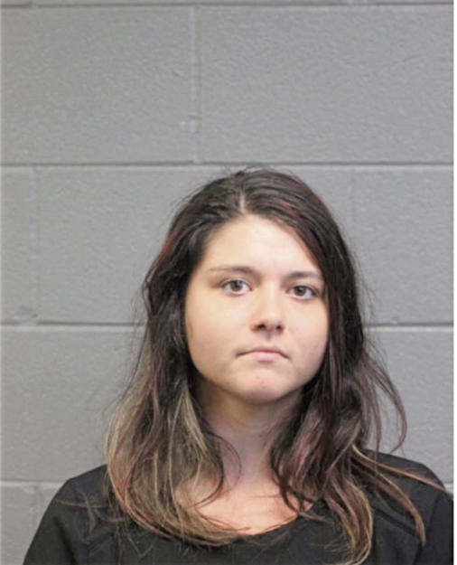 ANDA C CONSTANTIN, Cook County, Illinois