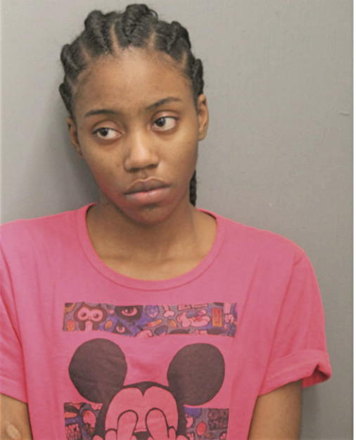 RHONDA R DORDIES, Cook County, Illinois