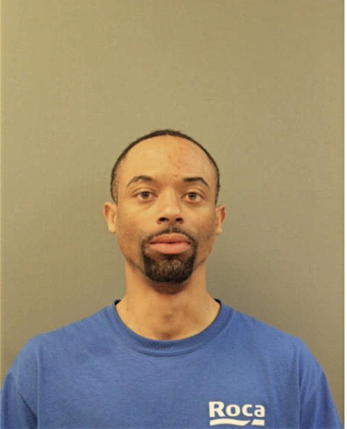 MICHAEL N ELLIS, Cook County, Illinois