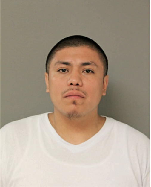 RICKY FERNANDEZ, Cook County, Illinois