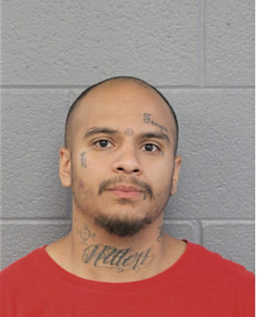 EFRAIN R GONZALEZ, Cook County, Illinois