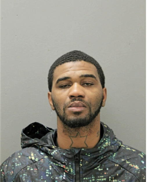 CARL D HAMILTON, Cook County, Illinois
