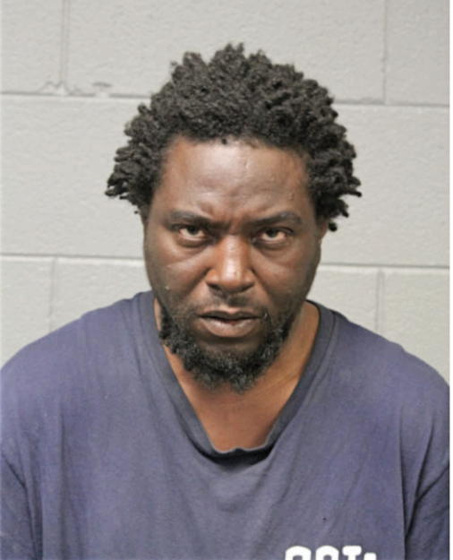 WAYNE T JONES, Cook County, Illinois