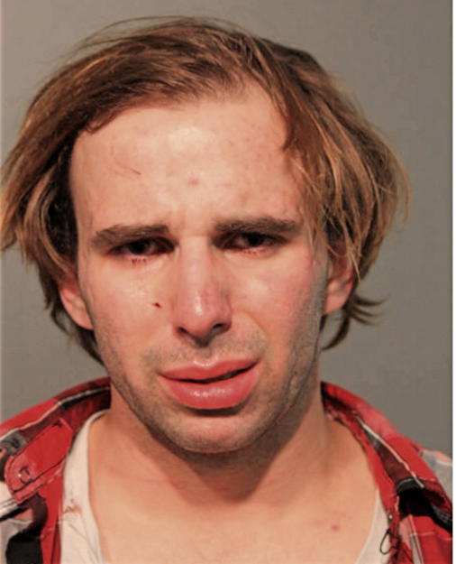 DANIEL B KOLAKOWSKI, Cook County, Illinois