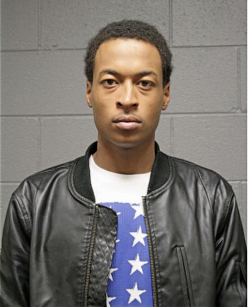 MICHAEL A LEE, Cook County, Illinois