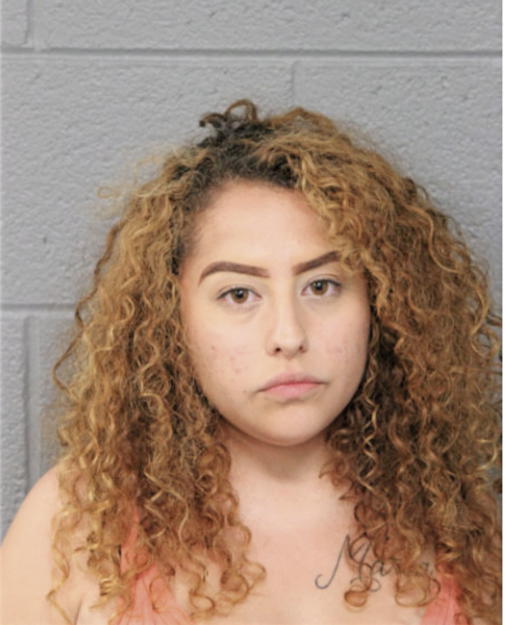 MICHELLE LOPEZ, Cook County, Illinois