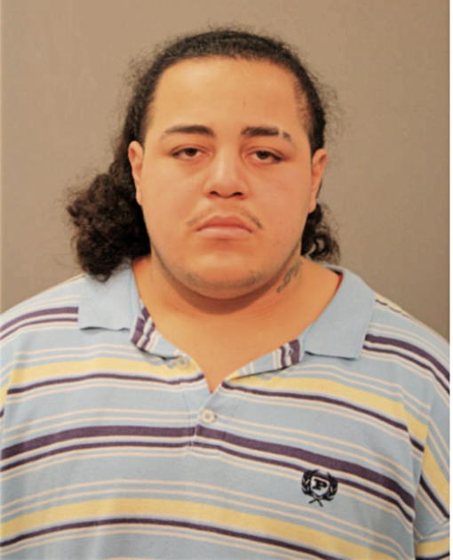 DILLENGER K MARTINEZ, Cook County, Illinois