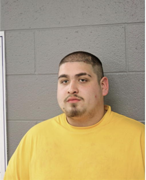 FABIAN MARTINEZ, Cook County, Illinois