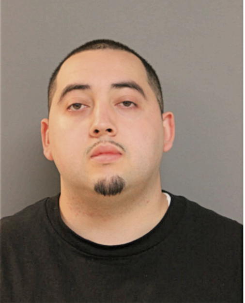 DARRELL W MULLINS, Cook County, Illinois