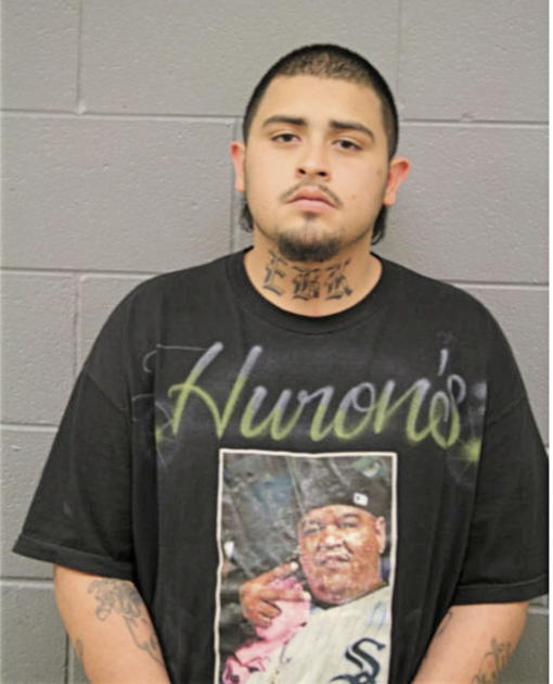 ANDRES M NEVAREZ, Cook County, Illinois