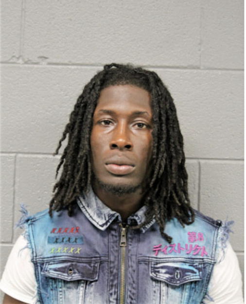 TYRELL NEWTON, Cook County, Illinois