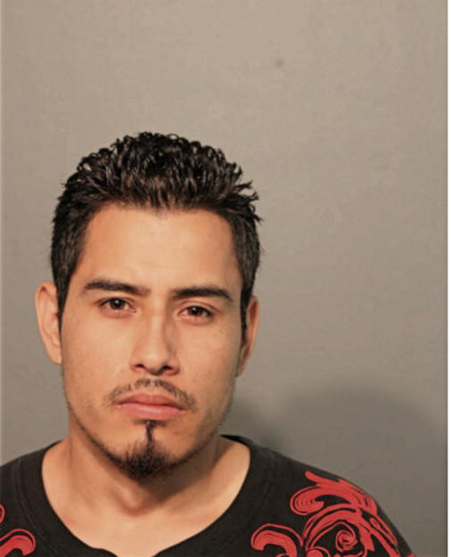 HUGO A PEREZ, Cook County, Illinois