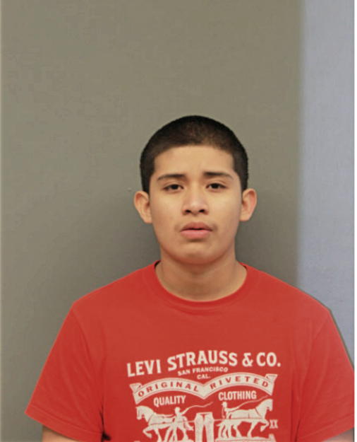 BRANDON J PICHARDO, Cook County, Illinois
