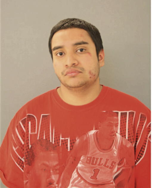 ISSAC ROSA, Cook County, Illinois