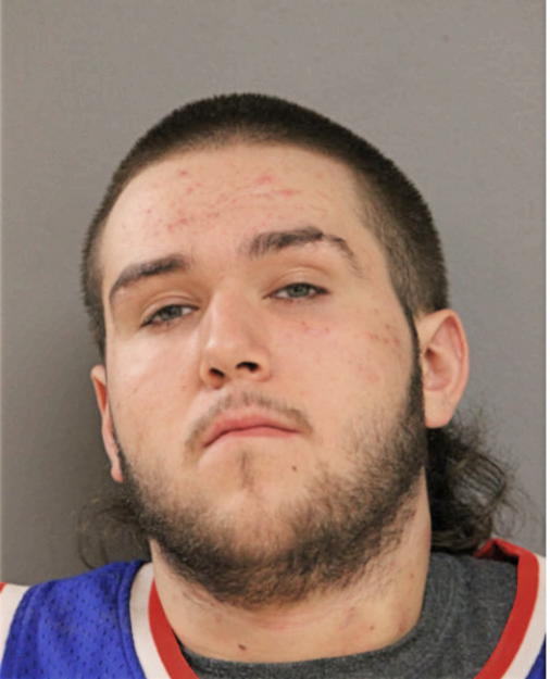 NICHOLAS A ROSS, Cook County, Illinois