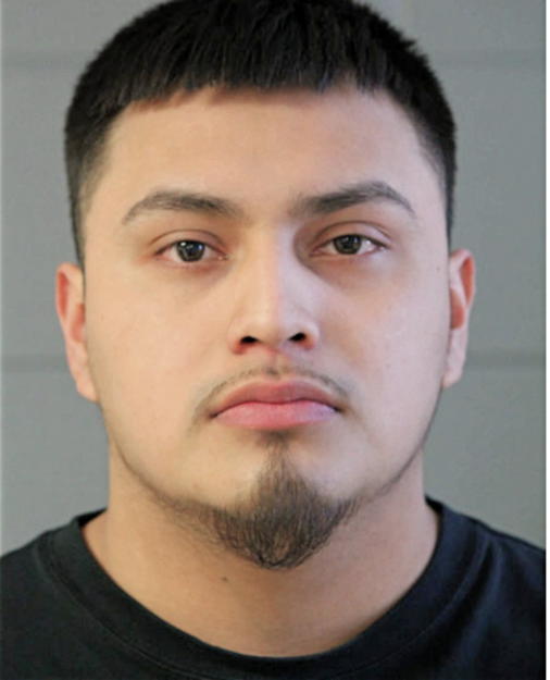 GAMALIEL SANCHEZ, Cook County, Illinois