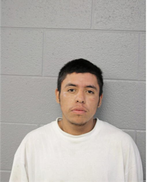 REUVEN G SANDOVAL, Cook County, Illinois