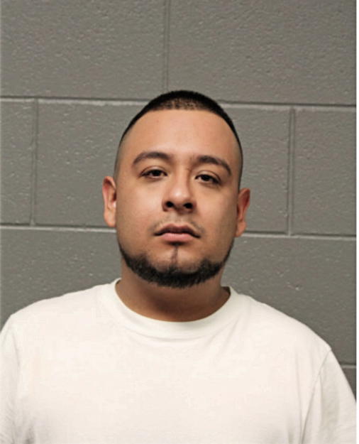 LUIS R VARGAS, Cook County, Illinois