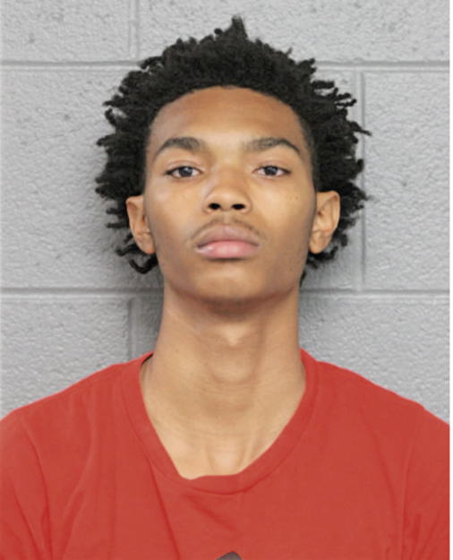 TYREE N WOODING, Cook County, Illinois