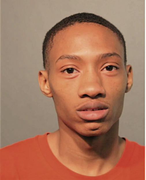 TAURUS D YOUNG, Cook County, Illinois