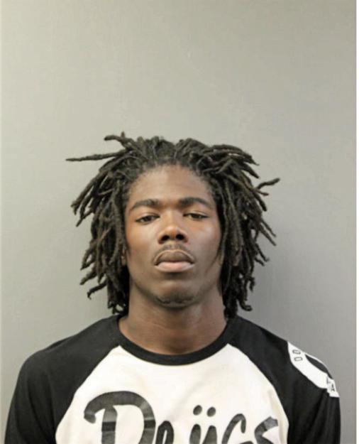 LAVONTAY P ZIEGLER, Cook County, Illinois