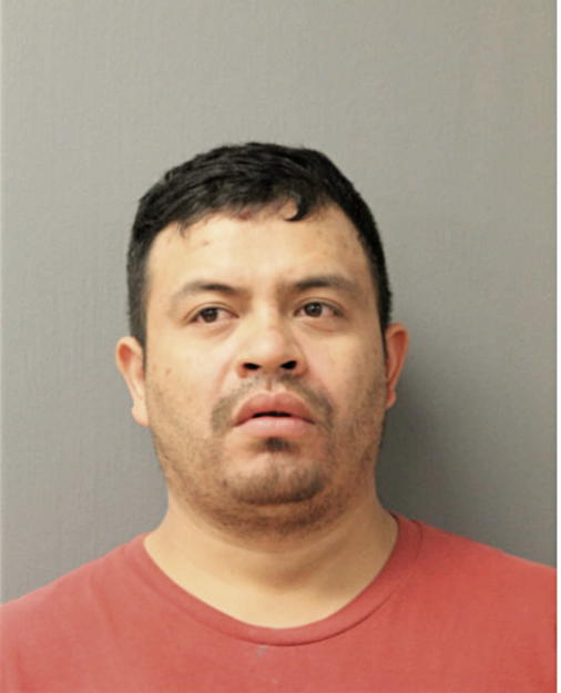 FAUSTO ARROYO-DELGADO, Cook County, Illinois