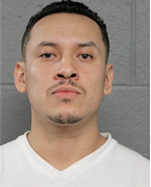 JESUS J DELGADO, Cook County, Illinois