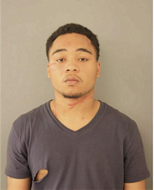 DEON T DELPHI, Cook County, Illinois