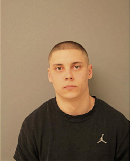 ANTHONY J DICARLO, Cook County, Illinois