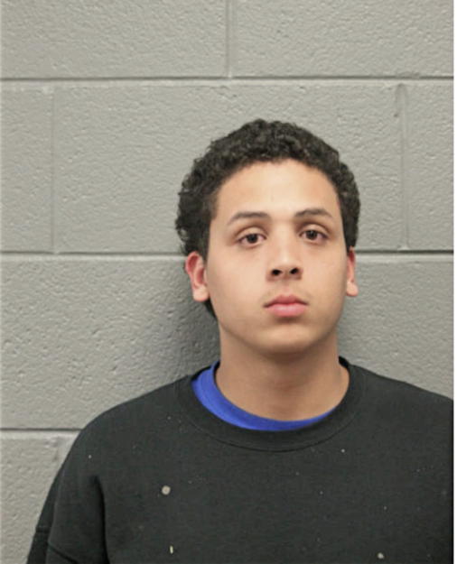 FRANCISCO J FIGUEROA, Cook County, Illinois