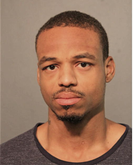 ERIK L GALLOWAY, Cook County, Illinois