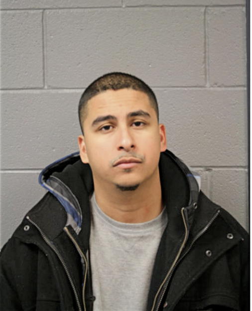 CARLOS GARICA, Cook County, Illinois